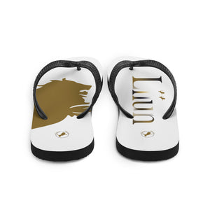 Flip-Flops