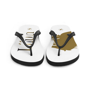 Flip-Flops