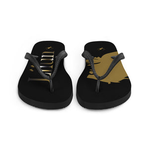 Flip-Flops