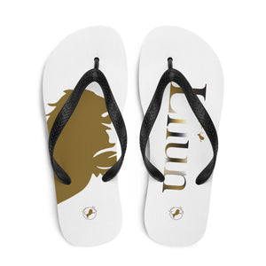 Flip-Flops