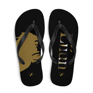 Flip-Flops