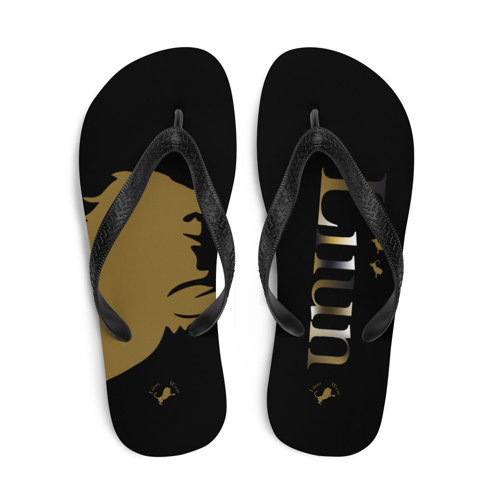 Flip-Flops